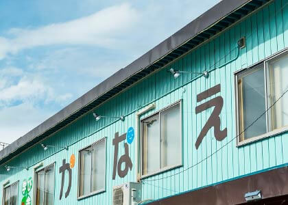 田植え体験を楽しもう